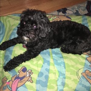 Meet your Posher, Desiree